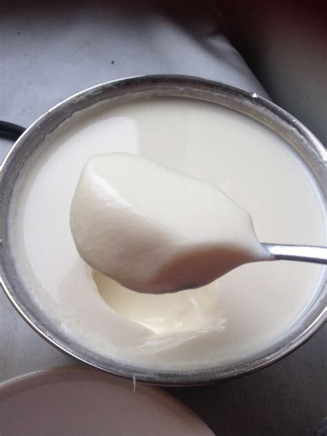 老酸奶的做法自制及配料