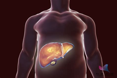 肝脏出现异常身体会有哪些表现