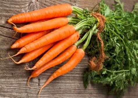 胡萝卜是寒性食物吗