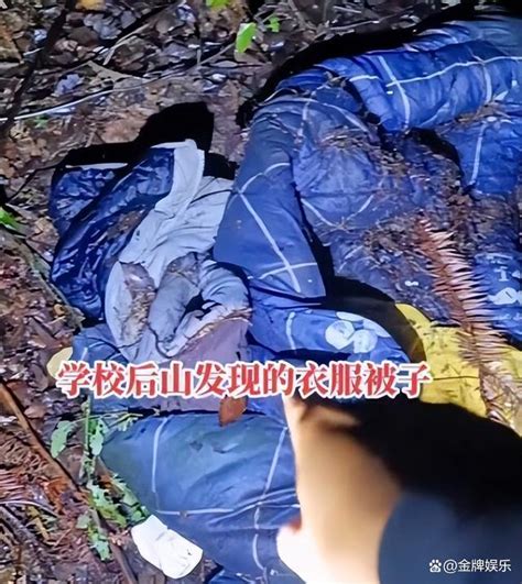 胡鑫宇尸体在树林里找到