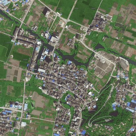 能看见村庄的卫星地图