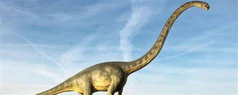 脖子长的恐龙叫什么