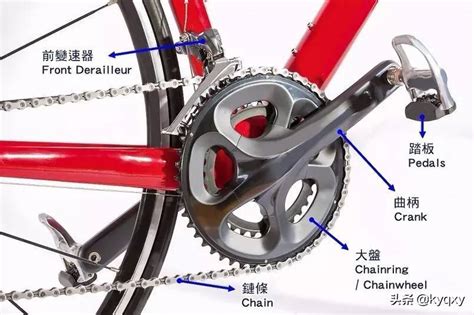 自行车变速齿轮安装