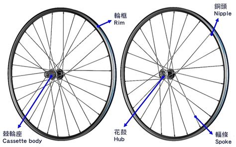 自行车辅助轮和后轮在一条直线吗