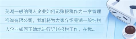 芜湖企业记账报税办理服务