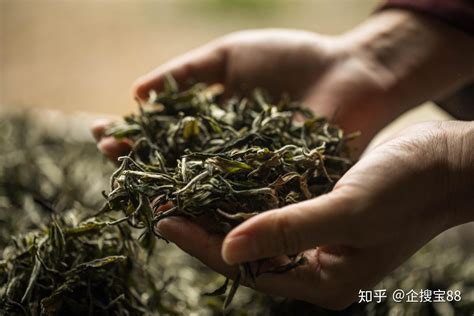 茶叶产业公司起名大全