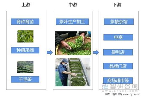 茶叶供应商合作方案