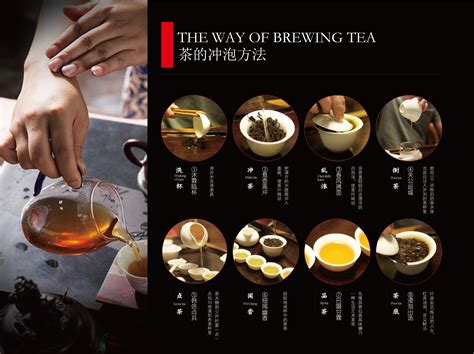 茶叶招商加盟手册