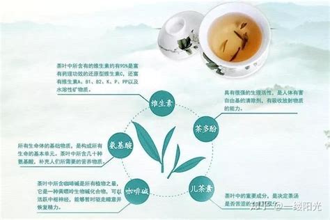 茶对身体的作用和功效