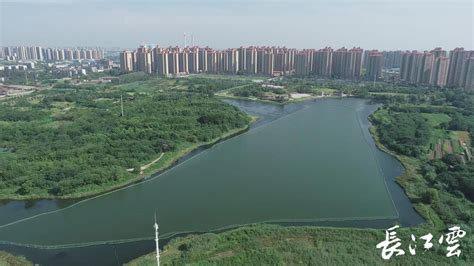 荆州城区水会