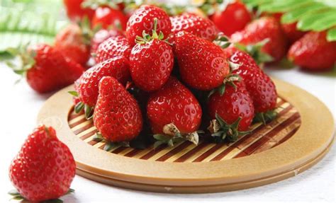 草莓是寒性还是热性的