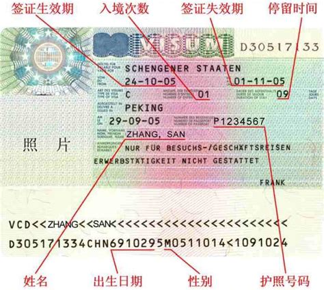 荷兰签证里的旅行证件编号