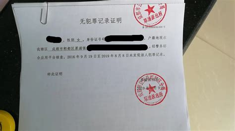 萍乡市无犯罪记录证明