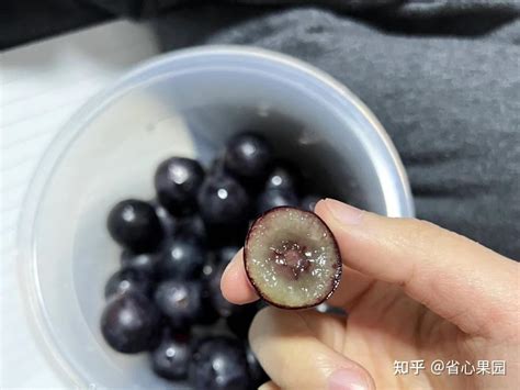 蓝莓怎么洗才干净蓝莓的清洗方法