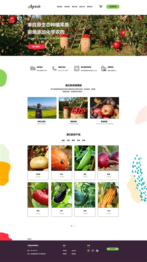 蔬菜电商网站设计