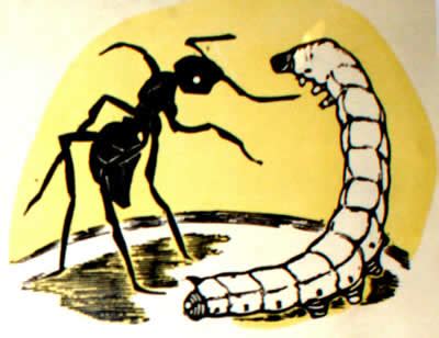 蚕和蚂蚁读后感50字