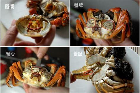 螃蟹哪里能吃哪里不能吃