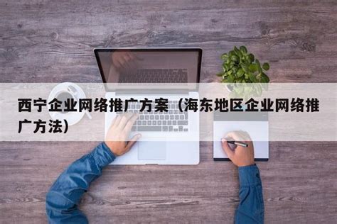 西宁企业网络推广技巧