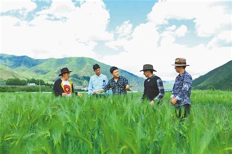 西藏农业技术推广