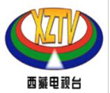 西藏卫视2012