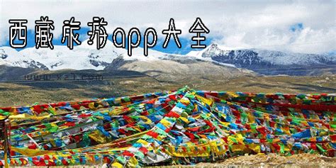 西藏seo软件