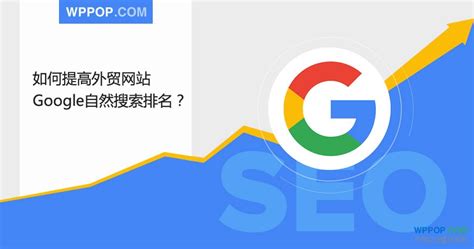 谷歌seo推荐的软件