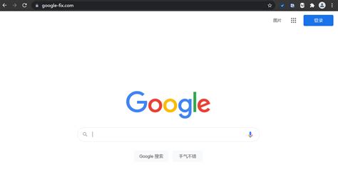 谷歌seo镜像站