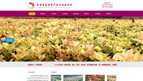赣州网站自然优化