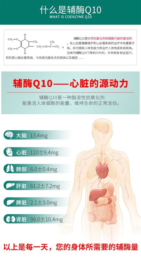 辅酶q10对心脏的作用