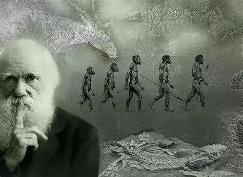 达尔文进化生存
