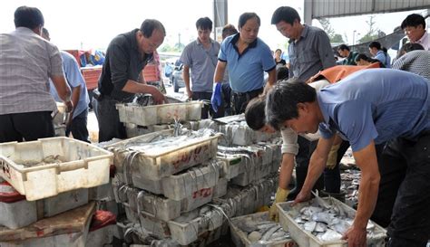 通化县鲜鱼批发市场
