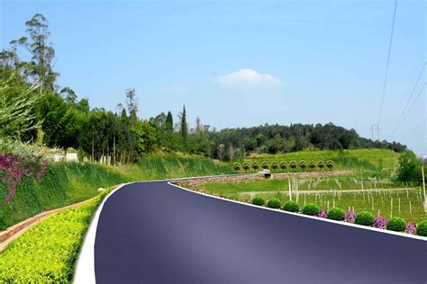 道路边坡绿化施工方案