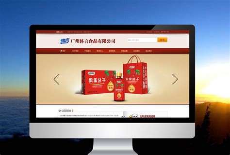 郑州专注网站建设营销公司