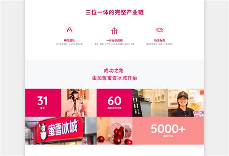 郑州品牌网站开发方案