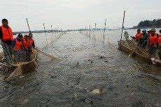 鄱阳湖捡鱼地点