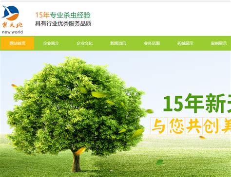 重庆专业网站推广