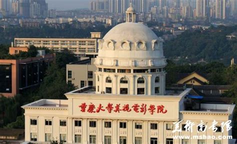 重庆大学美视电影学院官网