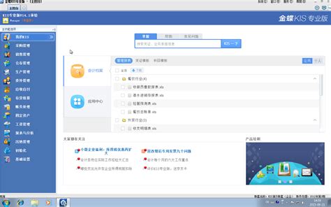 金蝶kis专业版的软件最新中文版
