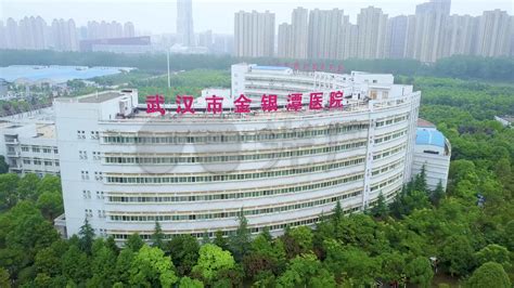 金银潭医院在武汉哪个区