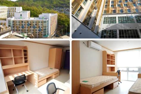 釜山大学的宿舍要多少钱