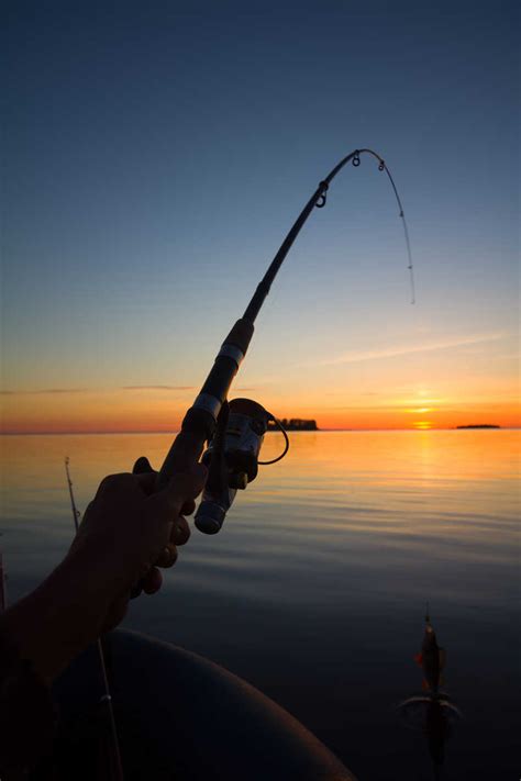 钓鱼的绝佳时间