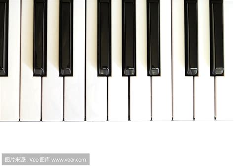 钢琴键盘示意图