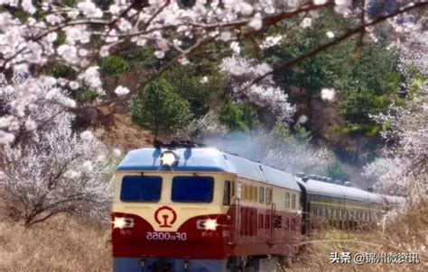 锦州到绥中5月28号的火车