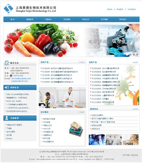 闵行网站建设技术公司