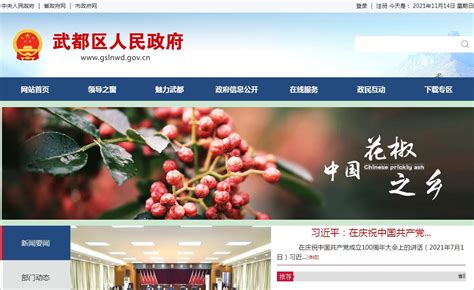 陇南市专业的网站优化