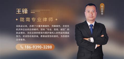 陇南律师网站推广公司