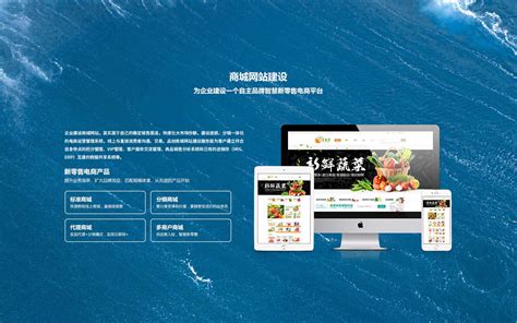 陕西网站建设技术方案