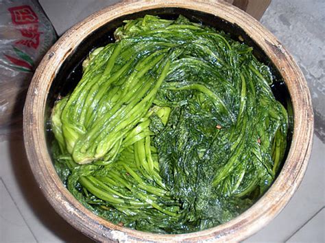 雪里红的腌制方法梅干菜的做法
