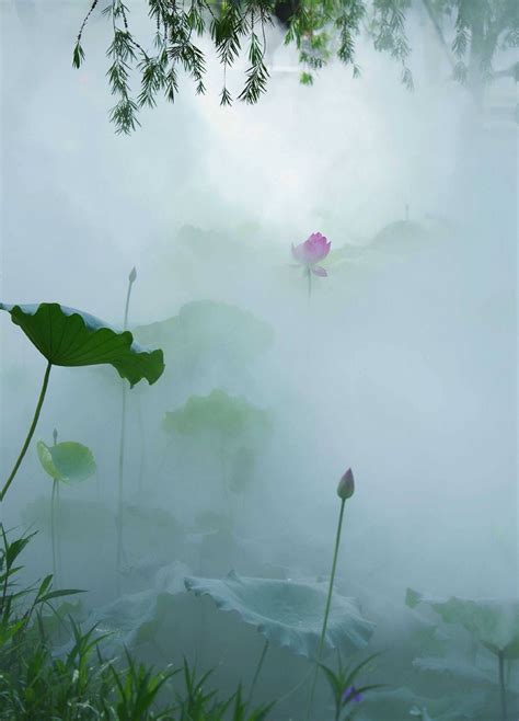 雾里看花的含义意思