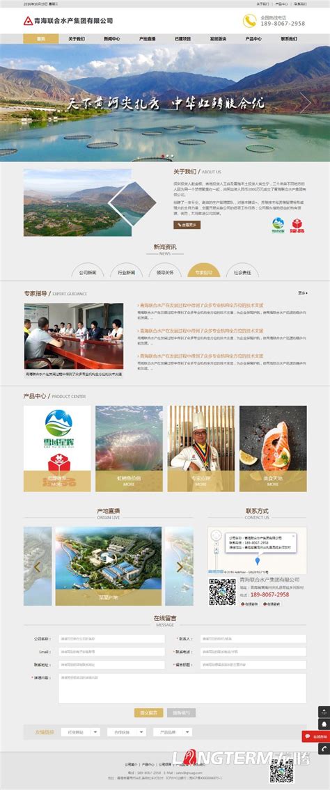 青海网站设计